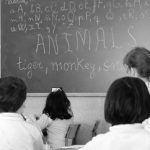 Comunicado sobre igualdad lingüística de género aplicada