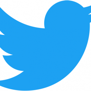 Twitter logo