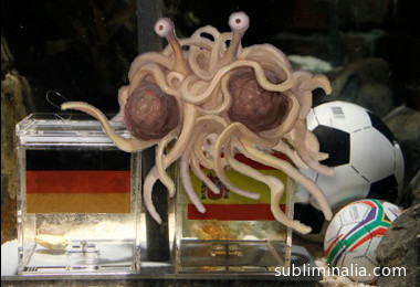 oracle octopus fsm oracle octopus fsm